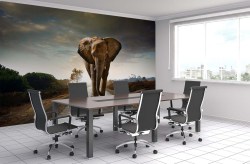 kantoor voorbeeld olifant behang
